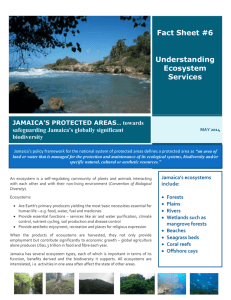 Fact Sheet 6 – Ecosystem Services