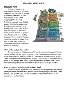 What is the geologic time scale?