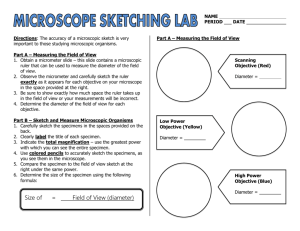Microscope Sketching Lab