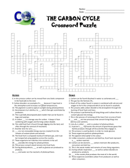 studylib.net - Essys, homework help, flashcards, research papers, book