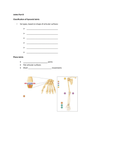 Joints Part B Classification of Synovial Joints Six types, based on