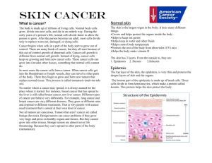 Reading: Skin Cancer