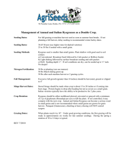 Management of Annual and Italian Ryegrasses