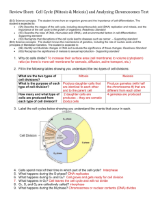 Review Sheet: Cell Cycle (Mitosis & Meiosis) and Analyzing
