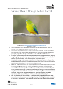 Information on the orange bellied parrot