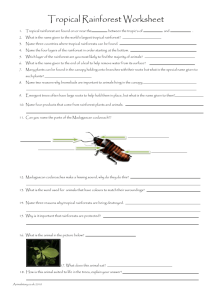 Tropical Rainforest Worksheet Tropical rainforest are found on or