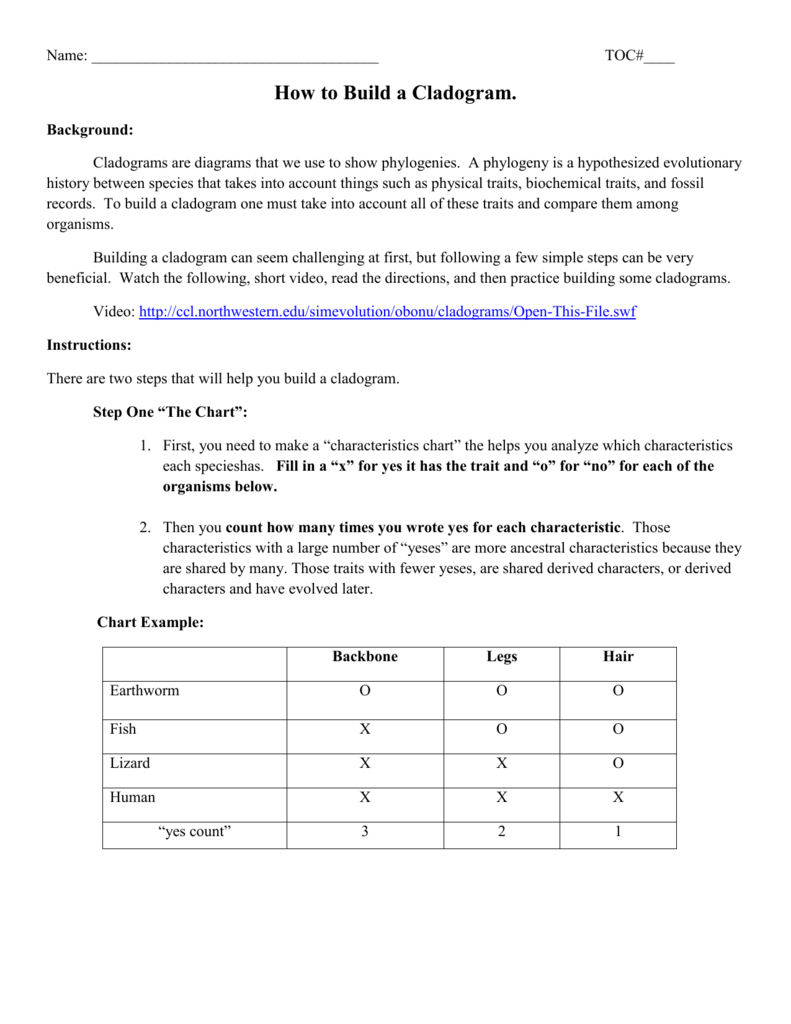 worksheet. Cladogram Worksheet Answers. Grass Fedjp Worksheet Study Site