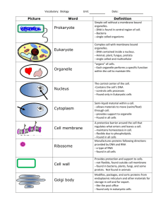 Unit 3-cells- vocabulary with definitions