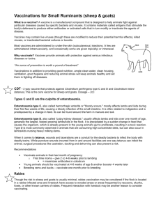 Vaccinations for Small Ruminants (sheep & goats)