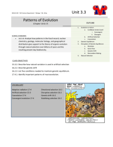 Unit 3.3 - Patterns of Evolution