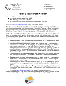 SA Feline Behaviour and Nutrition