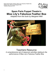 FINAL_Miss Lilys Revised Teacher Notes 2015