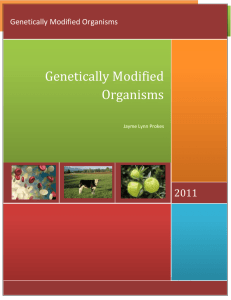 File - Genetically Modified Organisms