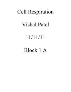 File - Vishal Patel