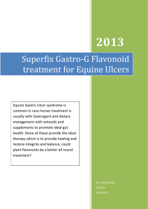 Superfix Gastro-G Flavonoid treatment for Equine Ulcers