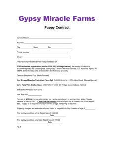 Puppy Contract - gypsy miracle farms