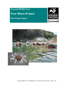 Your Shore Project Figures Summary