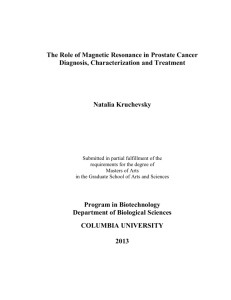 Kruchevsky-thesis05072013_nk