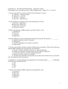Examination #2 Bio 308-General Microbiology—Spring 2014