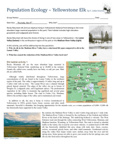 Population Ecology – Yellowstone Elk by C. John Graves Group