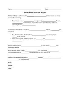 Animal Rights Worksheet - Montgomery County Schools