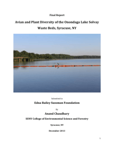 Avian and Plant Diversity of the Onondaga Lake Solvay Waste Beds