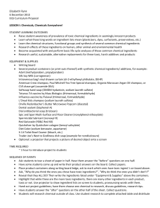 Elizabeth Flynn 6 December 2013 EILS Curriculum Proposal
