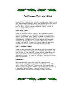 East Lansing Veterinary Clinic