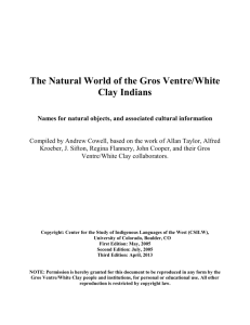 The Natural World of the Gros Ventre (Microsoft Word format)