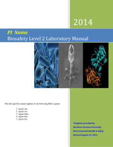 BSL2 Lab-Specific Biosafety Manual Template