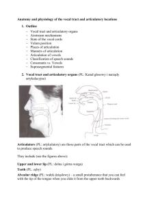 Anatomy and physiology of the vocal tract and articulatory locations.