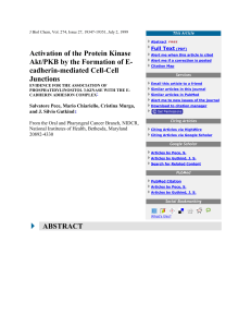 activation of the protein kinase