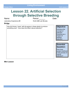 Artifical Selection through Selective Breeding