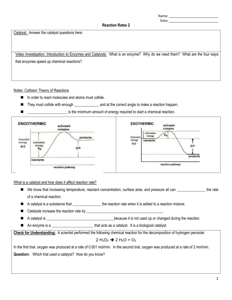 worksheet. Enzyme Worksheet. Worksheet Fun Worksheet Study Site