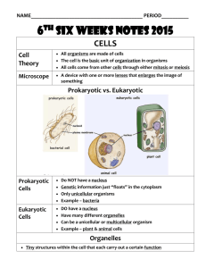Notes 4-1: Cells