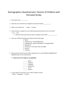 Demographics questionnaire: parents of children with perinatal stroke.