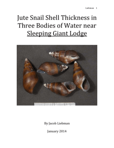 Jute Snail Shell Thickness in Three Bodies of Water near Sleeping
