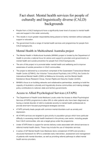 Fact sheet: Mental health services for people of culturally and