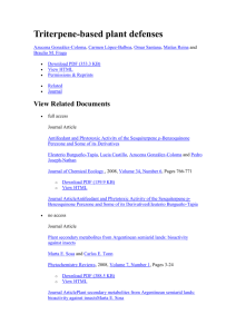 View Related Documents