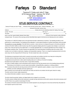 stud service contract HAVANESE 411 copy