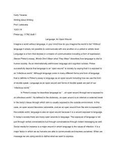 Language open wound draft 1 essay 2