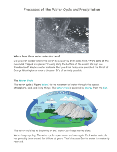 Processes of the Water Cycle and Precipitation - JGMS
