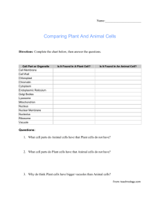 Name: Comparing Plant And Animal Cells Directions: Complete the