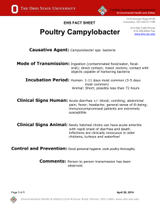 Poultry Campylobacter Fact Sheet