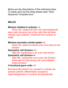 Supplemental File S2. Sex-Specific Differences