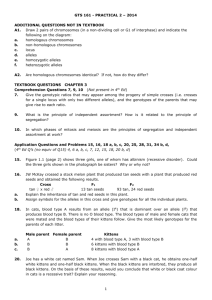 GTS 161 - PRACTICAL 2 – 2014 Additional questions NOT IN