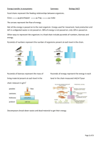 Energy transfer in ecosystems Summary Biology N4/5 Food chains