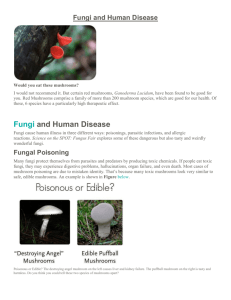 Fungi and Human Disease