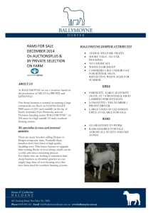 RAMS FOR SALE DECEMBER 2014 On AUCTIONSPLUS & BY