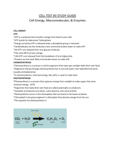 cell test #3 study guide